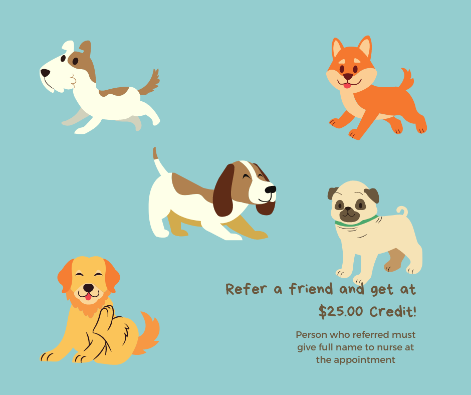 Refer a friend and get a $25.00 credit!