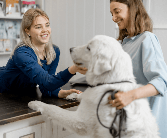 Careers at 43rd Avenue Animal Hospital