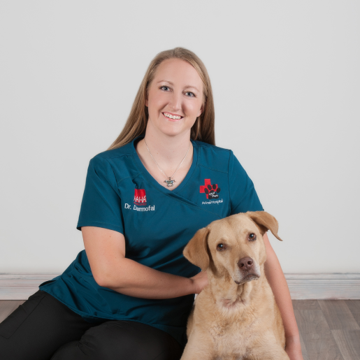 Dr. Jess Darmofal