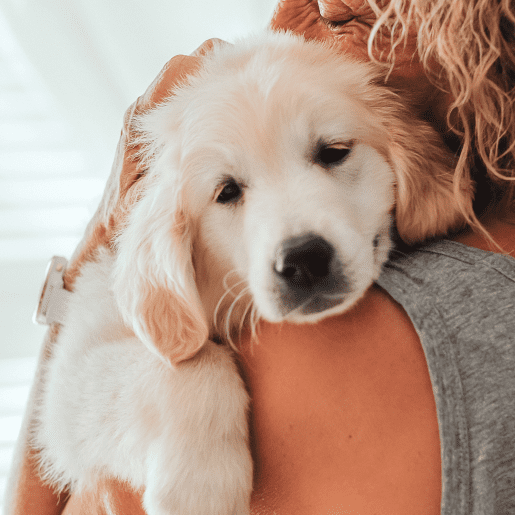 Urgent Care & Hospitalization